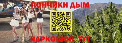 шишки Кинель